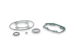 BUSTA GUARNIZIONI COMPLETA PER GRUPPO TERMICO 40-47,6 H2O MALOSSI PEUGEOT SPEEDFIGHT 3 50 2T LC