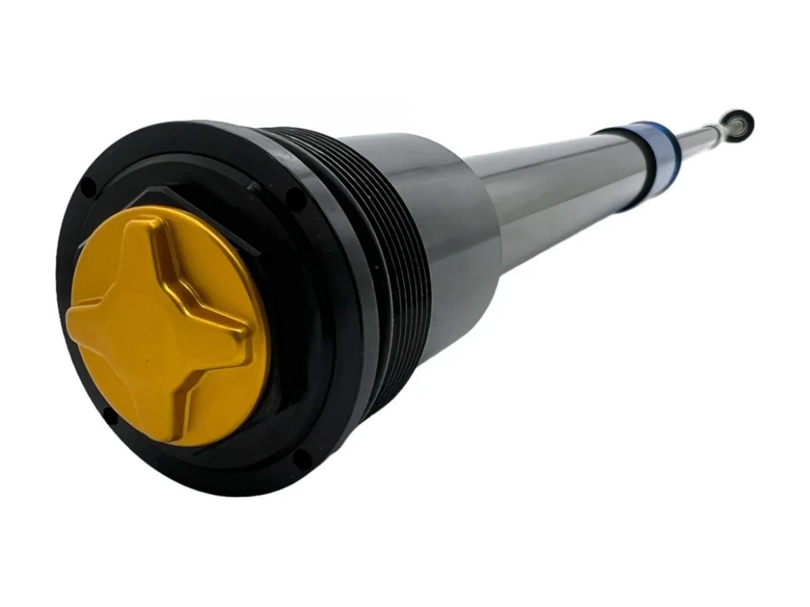 CARTUCCIA ARIA FORCELLA OHLINS DH 38 TALARIA STING TL 4000 R