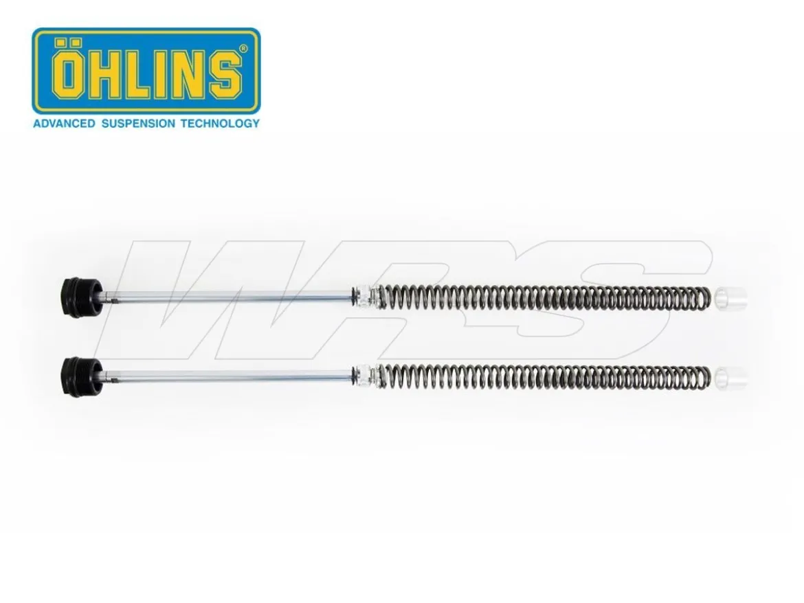 CARTUCCIA FORCELLA OHLINS HONDA MSX 125 2013-2019