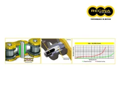 CATENA REGINA 135ZRE PASSO 520 BMW F 650 94-95
