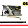 CATENA REGINA 135ZRE PASSO 520 TM EN 400 4T 2004