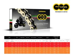 CATENA REGINA 135ZRT PASSO 520 BIMOTA V2 97-03