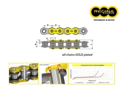 CATENA REGINA 136ZRT PASSO 530 YAMAHA XJ 400 1982