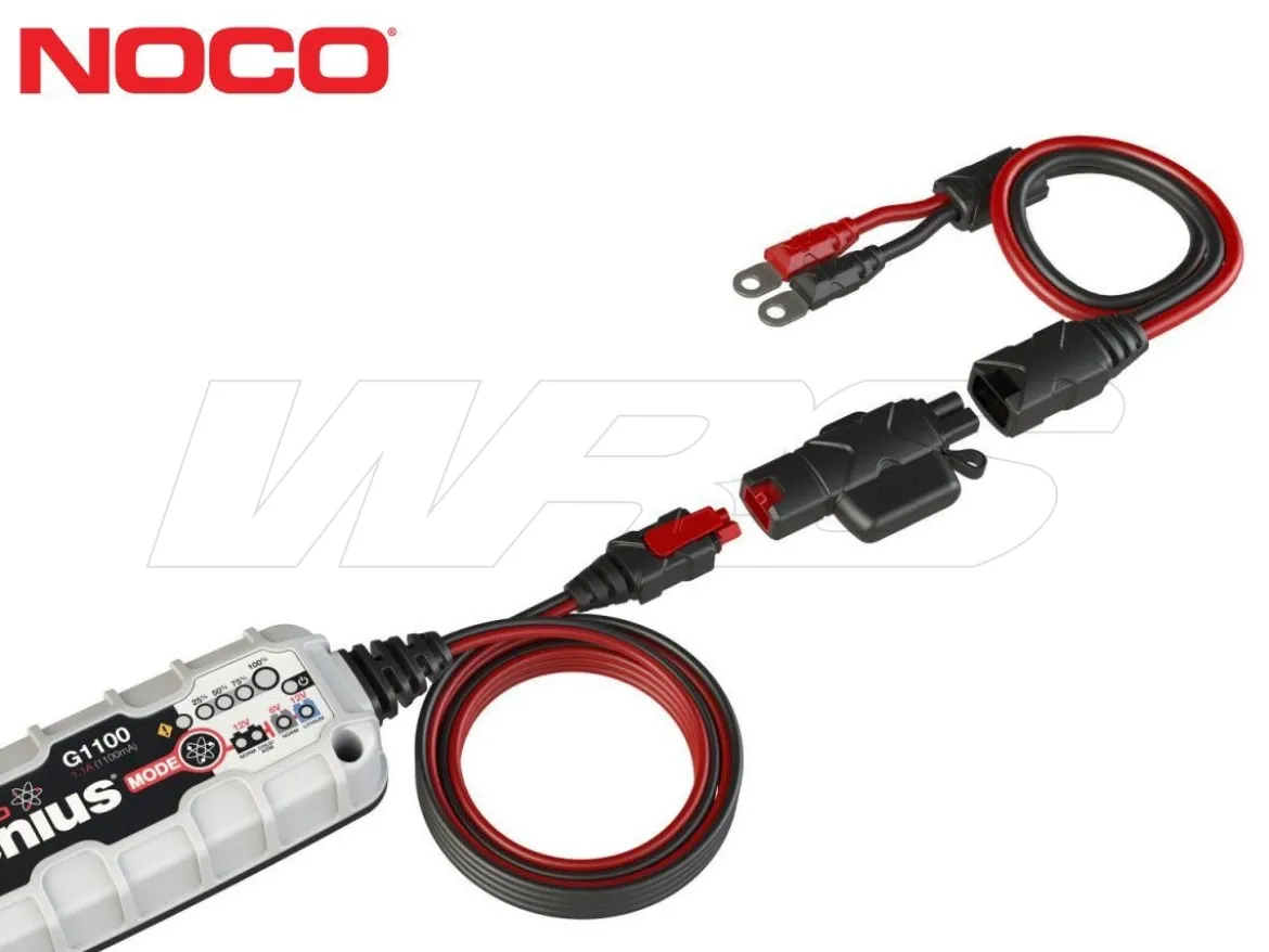 CAVO OCCHIELLO + ADATTATORE X-CONNECT NOCO GENIUS