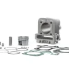 CILINDRO 49 IN ALLUMINIO CON SPINOTTO 13 4-STROKE MALOSSI VESPA ET4 50 4T