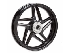 COPPIA CERCHI CARBONIO DUCATI PERFORMANCE DUCATI PANIGALE V4 / S / R 2025-2026