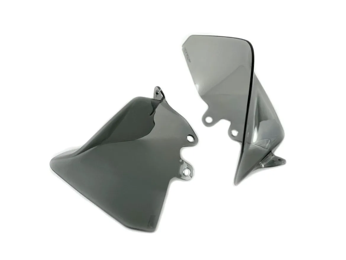 COPPIA DEFLETTORI LATERALI WRS FUME' BMW R 1300 GS 2023-2026