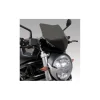 CUPOLINO AEROSPORT BARRACUDA DUCATI MONSTER 696