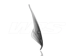 CUPOLINO TOURING WRS FUME' BMW R 1250 R 2019-2024