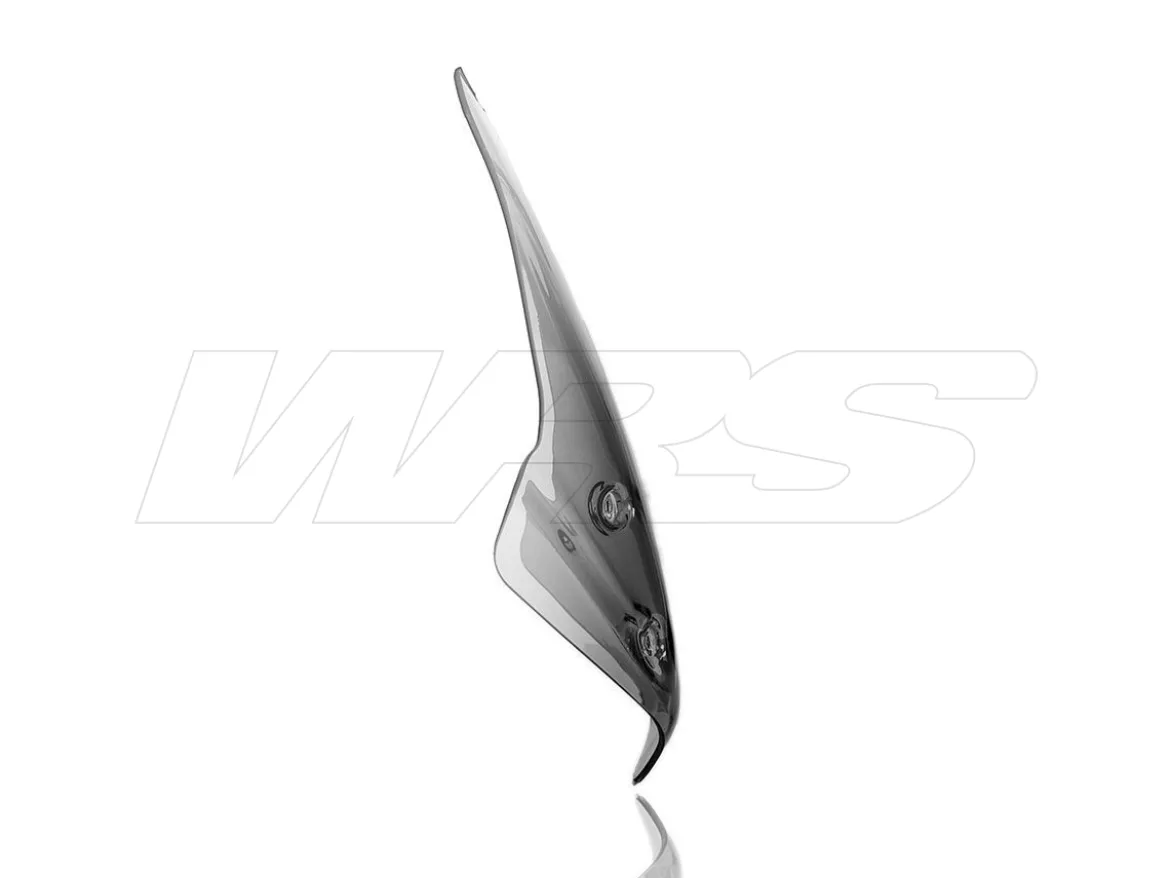 CUPOLINO TOURING WRS FUME' BMW R 1250 R 2019-2024
