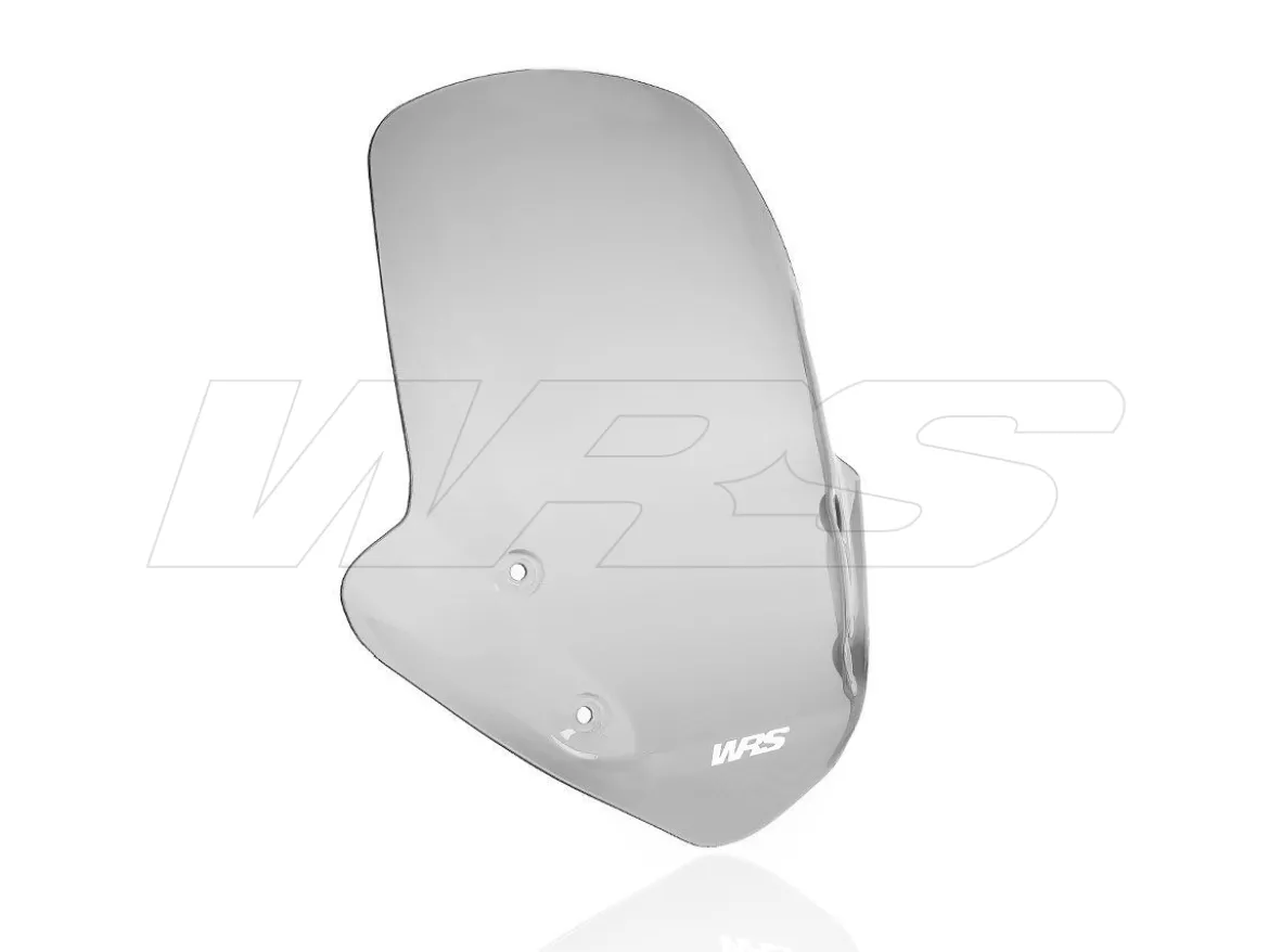 CUPOLINO TOURING WRS FUME' BMW R 1250 R 2019-2024