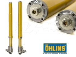 FORCELLA OHLINS FG 595 UNIVERSALE MOTO3 38MM