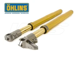 FORCELLA OHLINS FG 595 UNIVERSALE MOTO3 38MM