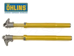 FORCELLA OHLINS FG 595 UNIVERSALE MOTO3 38MM