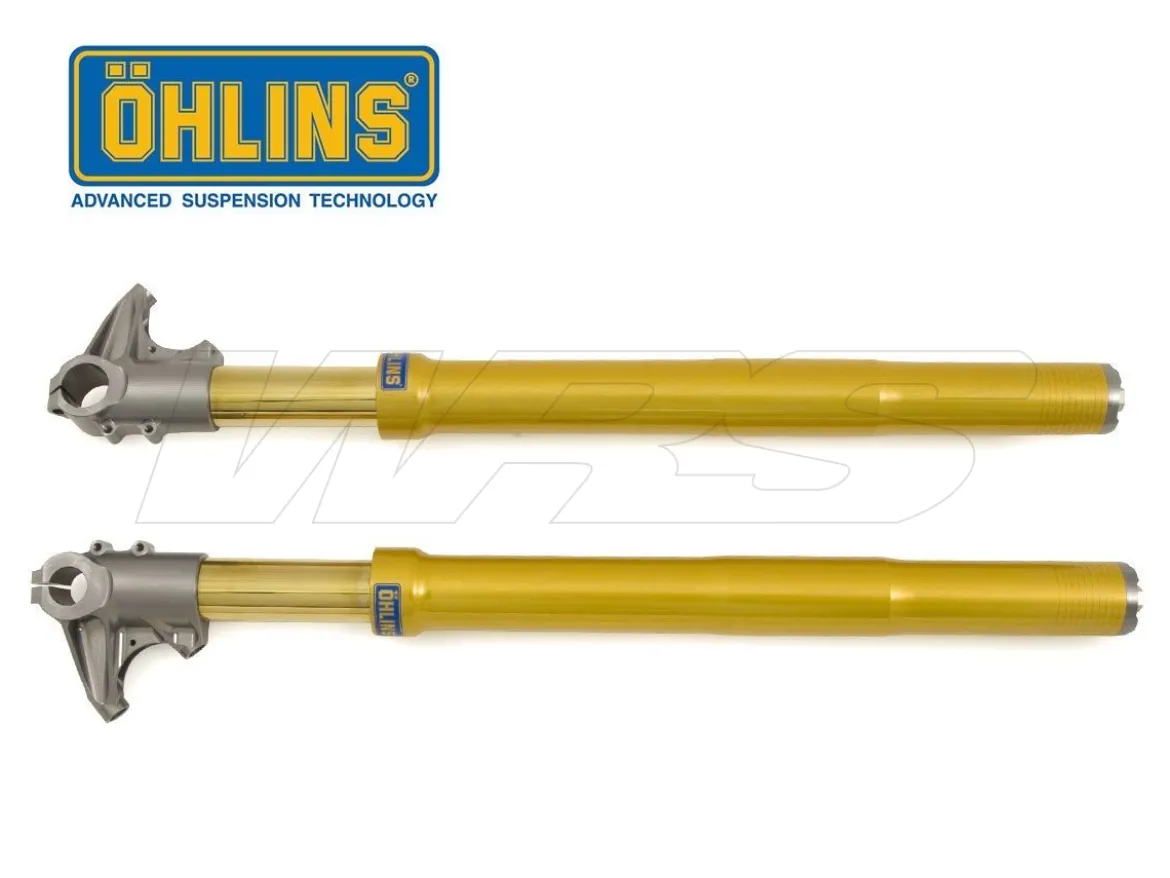 FORCELLA OHLINS FG 595 UNIVERSALE MOTO3 38MM