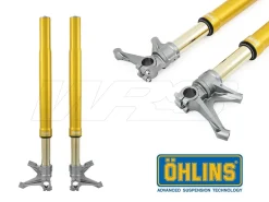 FORCELLA OHLINS ORO FGR 250 43MM TTX YAMAHA R1 / M 2015-2024