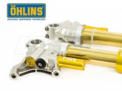 FORCELLA OHLINS SUPERBIKE FGR300 43MM UNIVERSALE