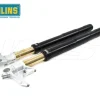 FORCELLA R&T OHLINS NIX 43MM BMW S 1000 RR 2008-2018 NERO