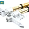 FORCELLA R&T OHLINS NIX 43MM ORO DUCATI PANIGALE V4 / S 2025