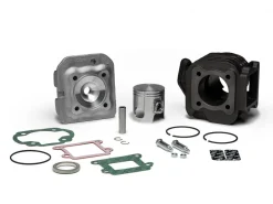 GRUPPO TERMICO 47 IN GHISA CON SPINOTTO 10 MALOSSI MBK BOOSTER NG 50 2T EURO 0-1