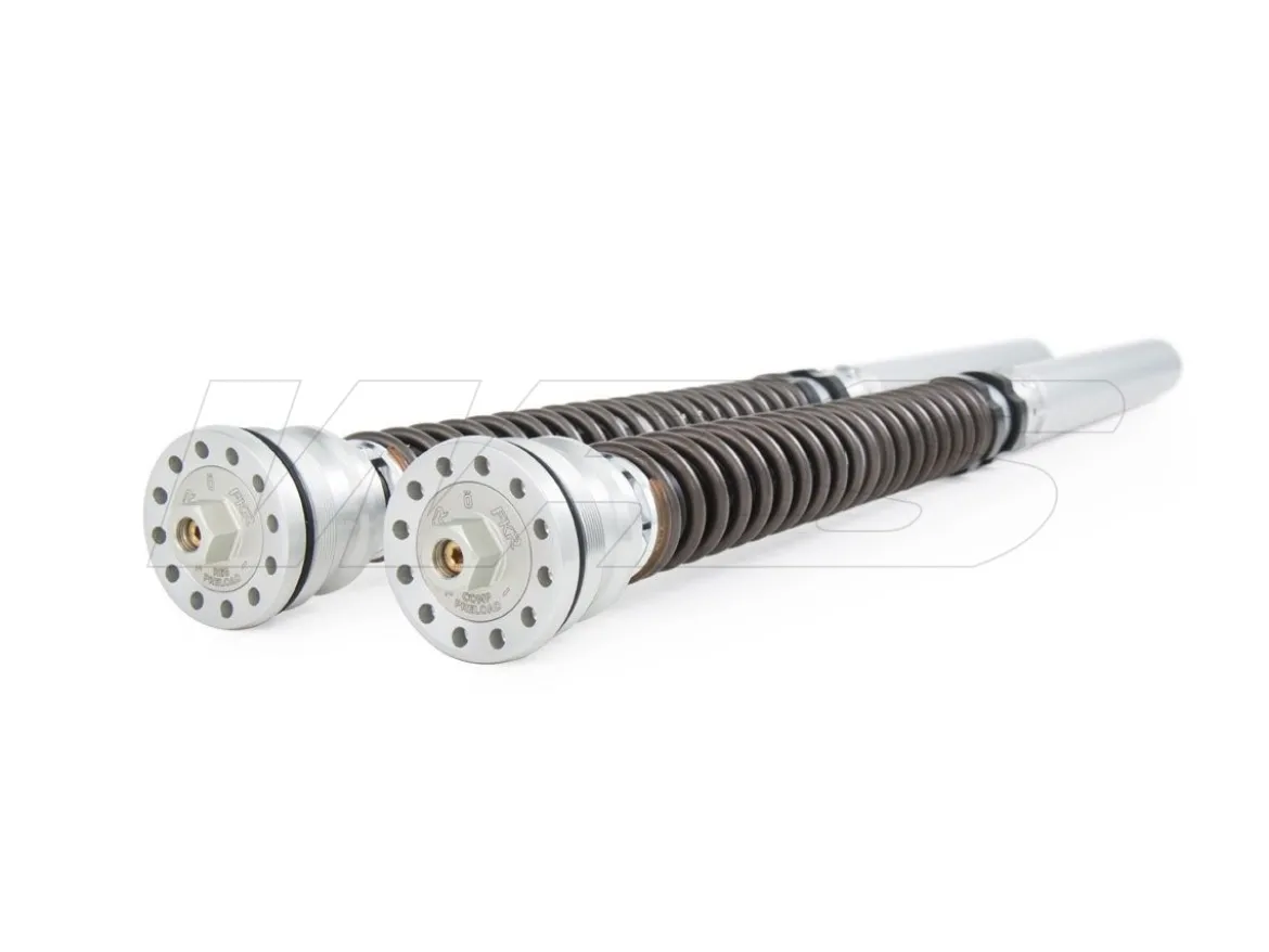KIT CARTUCCIA FORCELLA OHLINS TTX 25MM DUCATI PANIGALE V2 2020-2023