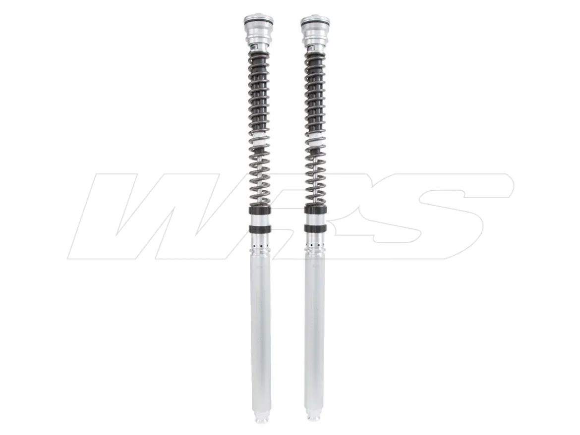 KIT CARTUCCIA FORCELLA OHLINS TTX 25MM SUZUKI GSX-R 1000 2012-2022