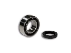 KIT CUSCINETTO A SFERE PARAOLIO MALOSSI VESPA PRIMAVERA 125 2T