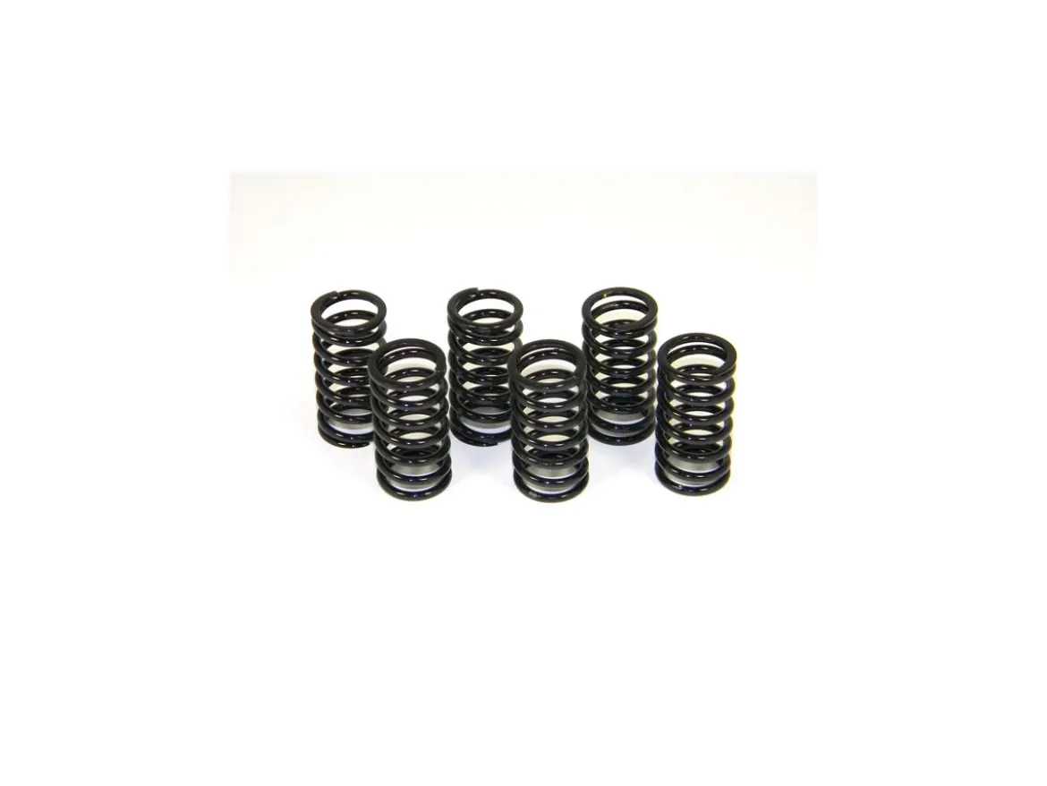 KIT MOLLE FRIZIONE VERNICIATE DBK DUCATI 749 / 999