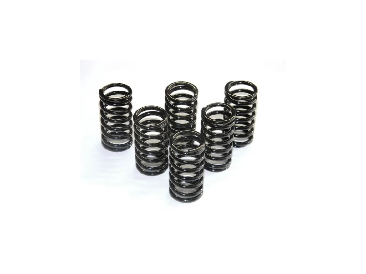 KIT MOLLE FRIZIONE VERNICIATE DBK DUCATI 749 / 999