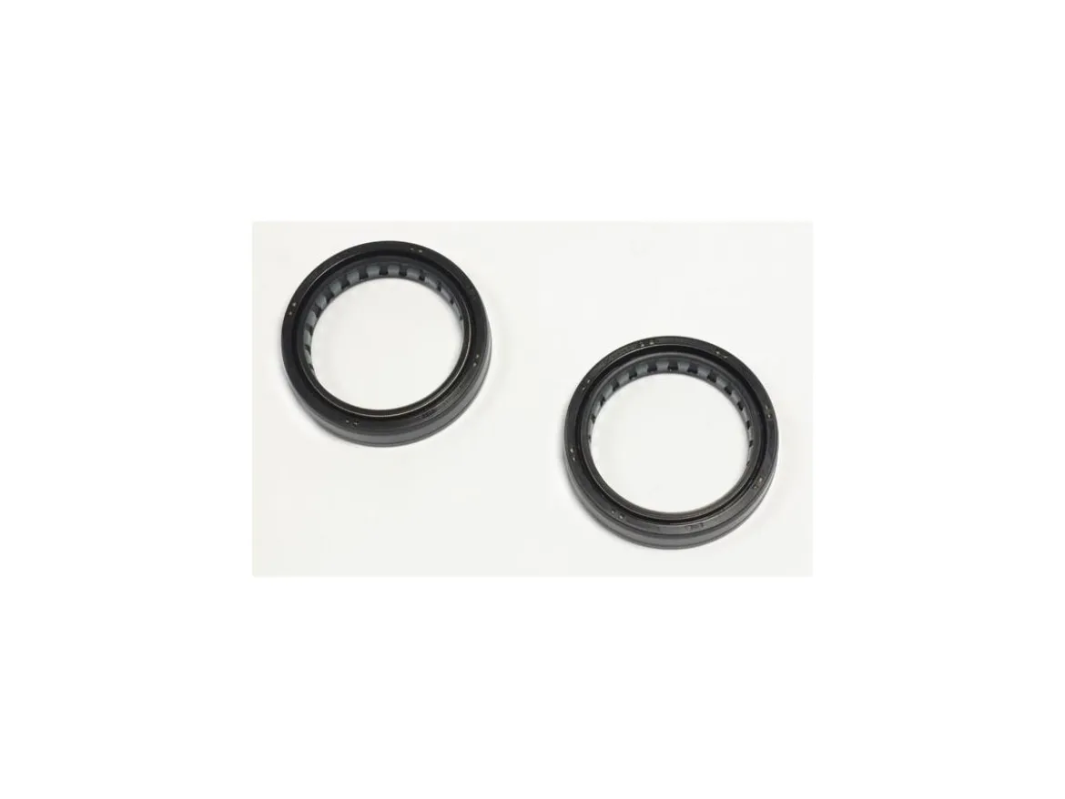 KIT PARAOLIO FORCELLA NOK ATHENA BMW G 650 GS 2006-2007