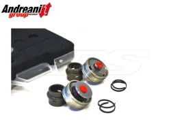 KIT PISTONI POMPANTI BPF ANDREANI FORCELLA SHOWA TRIUMPH THRUXTON 1200 R 2016