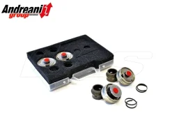KIT PISTONI POMPANTI BPF ANDREANI FORCELLA SHOWA TRIUMPH THRUXTON 1200 R 2016