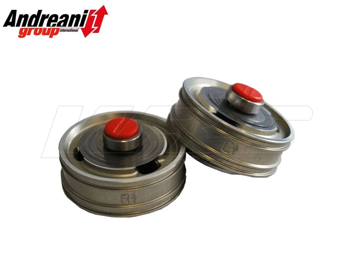 KIT PISTONI POMPANTI BPF ANDREANI FORCELLA SHOWA TRIUMPH THRUXTON 1200 R 2016