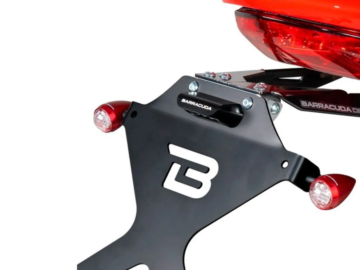 LUCE LED TARGA ALLUMINIO BARRACUDA OMOLOGATA