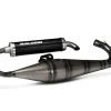 MARMITTA SCOOTER RACING MALOSSI PIAGGIO ZIP 50 2T 2000+ (C25EM)