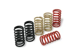 MOLLE FRIZIONE H40.5 CNC RACING MV AGUSTA RUSH 1000 2020-2022