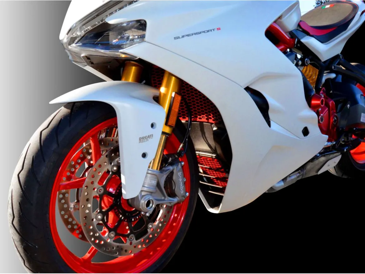 PROTEZIONE RADIATORE ACQUA DBK DUCATI MONSTER 821 2018