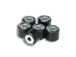 6 RULLI HTROLL 20X17 GR. 11,5 MALOSSI GARELLI XO' 150 IE 4T EURO 3 (1P58 QMJ)