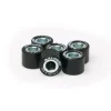 6 RULLI HTROLL 18X14 GR. 14 MALOSSI MALAGUTI CIAK MASTER 150 4T