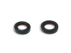 SERIE PARAOLIO IN FKM / PTFE PER ALBERO MOTORE PER SCOOTER PIAGGIO AUTOMATICI 2T 50CC MALOSSI PIAGGIO TYPHOON 50 2T 2007-2010