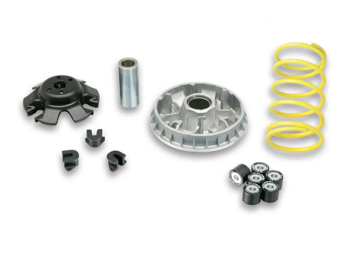 VARIATORE MULTIVAR 2000 MALOSSI PIAGGIO HEXAGON 250 4T LC
