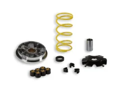 VARIATORE MULTIVAR PER SCOOTER MALOSSI SUZUKI SEPIA ZZ 50 2T