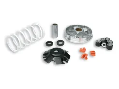 VARIATORE MULTIVAR 2000 PER SCOOTER PIAGGIO 50CC MALOSSI PIAGGIO ZIP 50 2T 2000+ (C25EM)