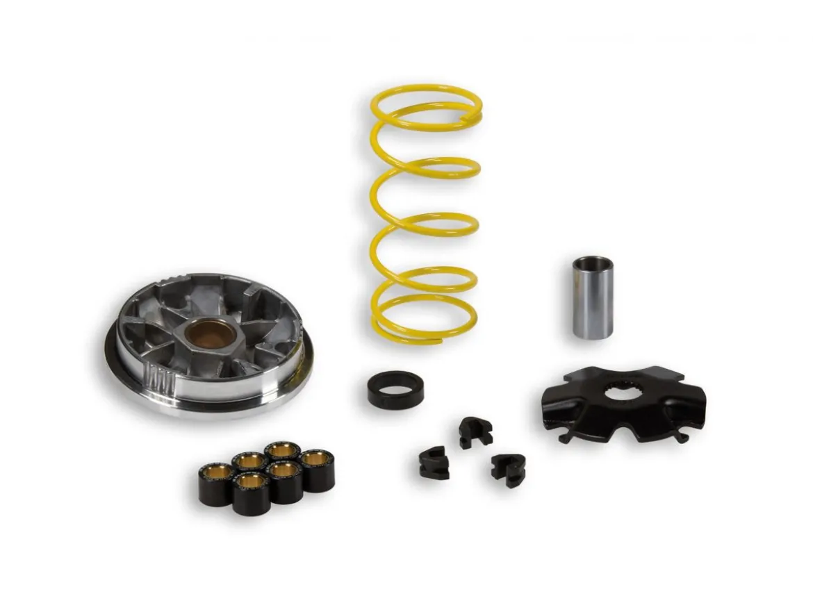 VARIATORE MULTIVAR PER SCOOTER MALOSSI SUZUKI SEPIA 50 2T